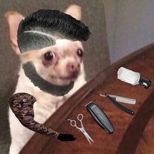 Meet your Posher, Jared